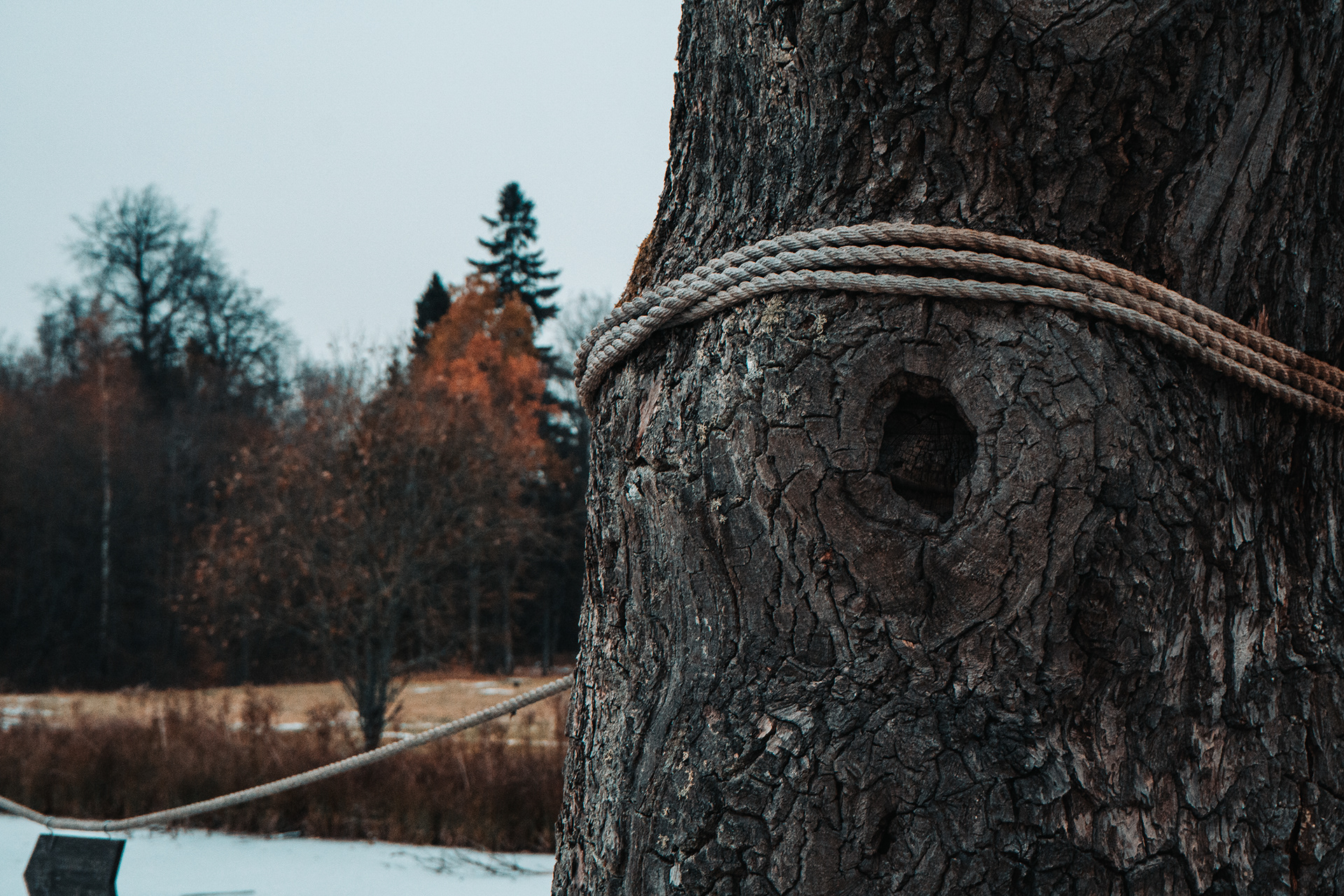 Demidov 庄园周边景观设计-12