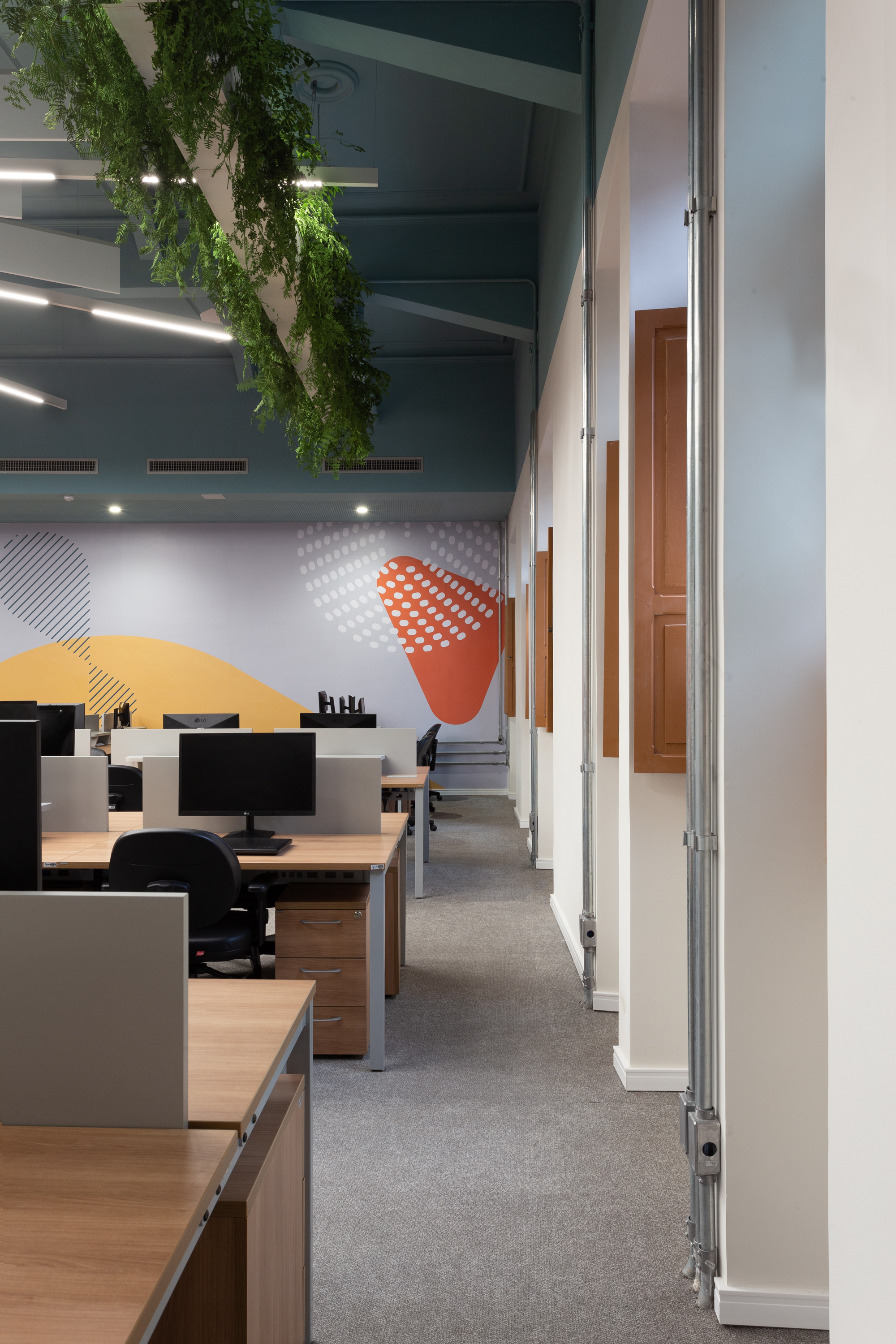 丨巴西伯南布哥-95