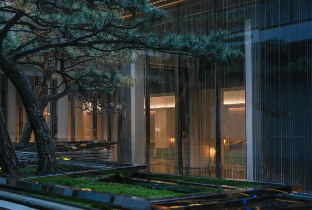 “巴适”背后的野心丨成都点将台79号-81