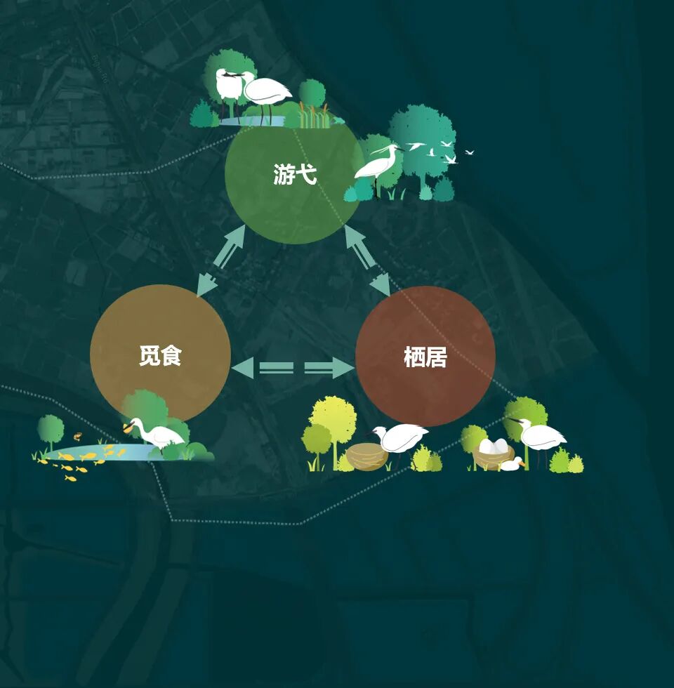 顺德鹭鸟湿地片区景观规划丨中国佛山丨AECOM-43