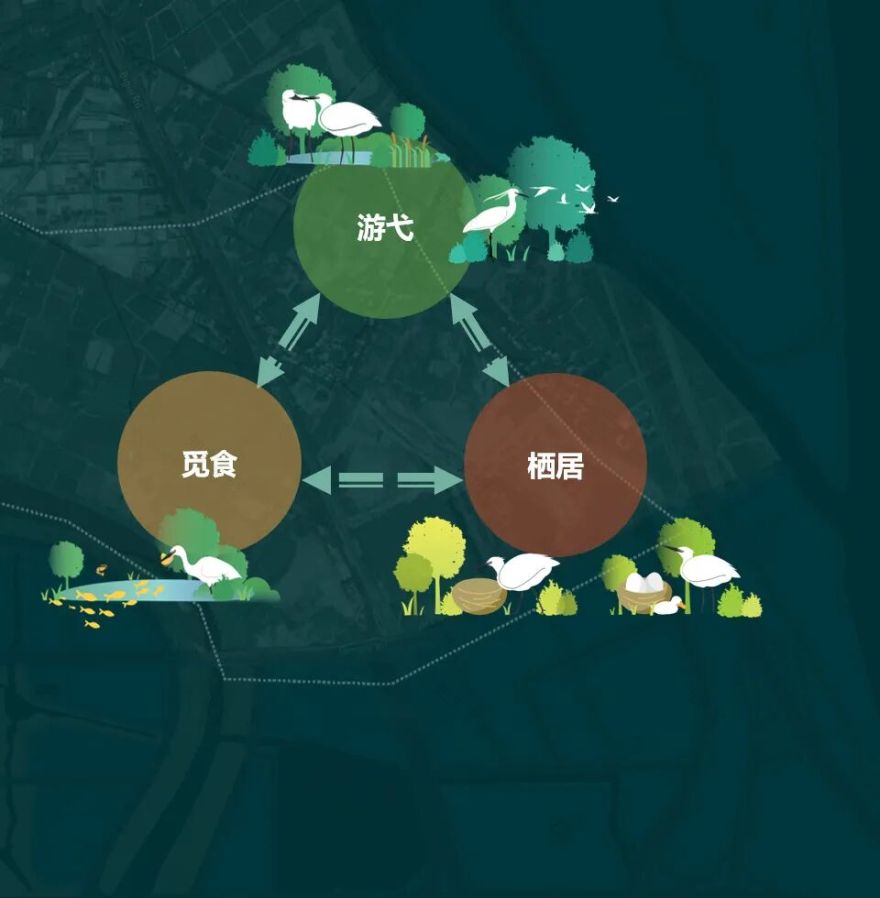 顺德鹭鸟湿地片区景观规划丨中国佛山丨AECOM-43