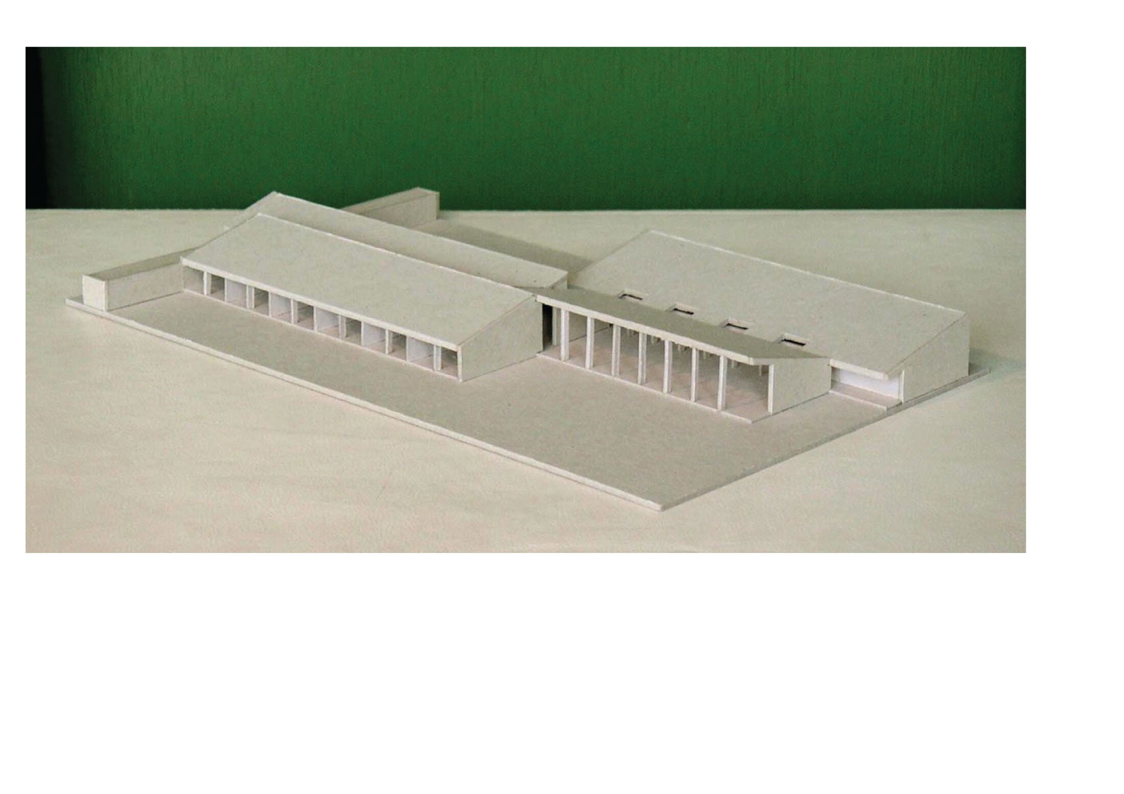 卡斯特勒德马斯学校-12