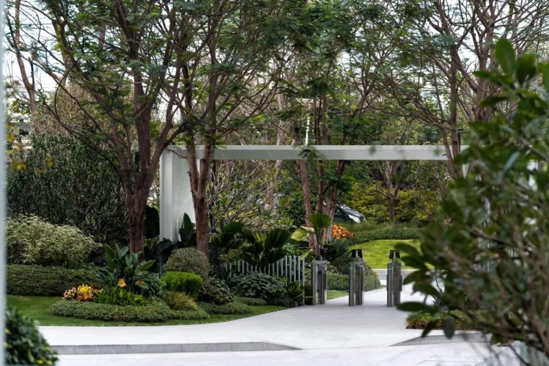 OPPO 智能制造中心项目 B 地块一期北区厂房园林景观分包工程丨萨尔瓦多滨海丨广州普邦园林股份有限公司-8