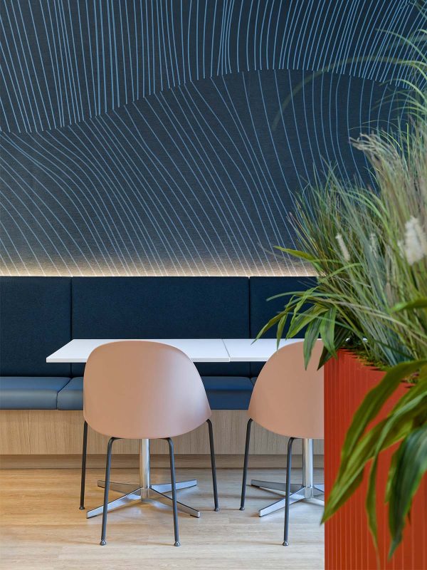 华人策划协会，纽约 -14