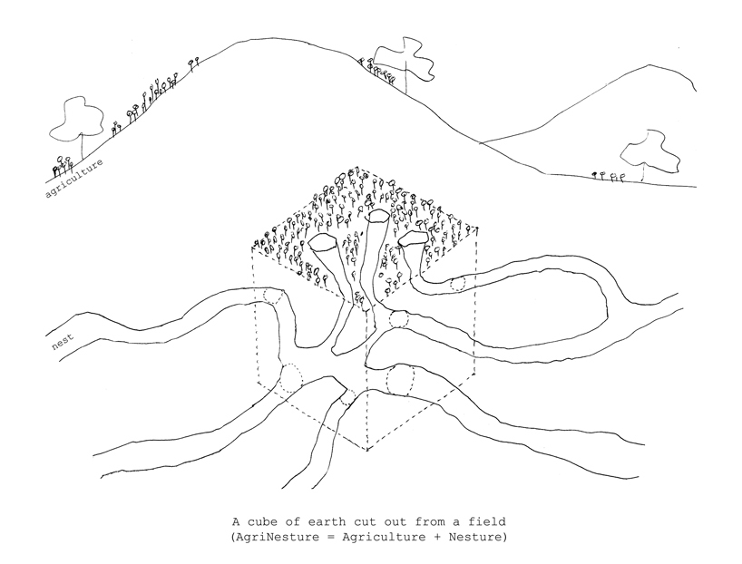 AgriNesture  H-P Architects-64