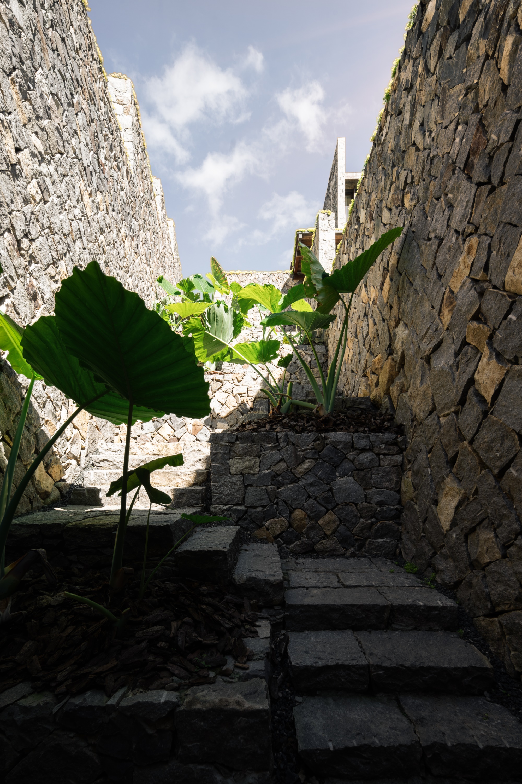 秘伽度假酒店丨中国温州丨杭州偲所设计-22