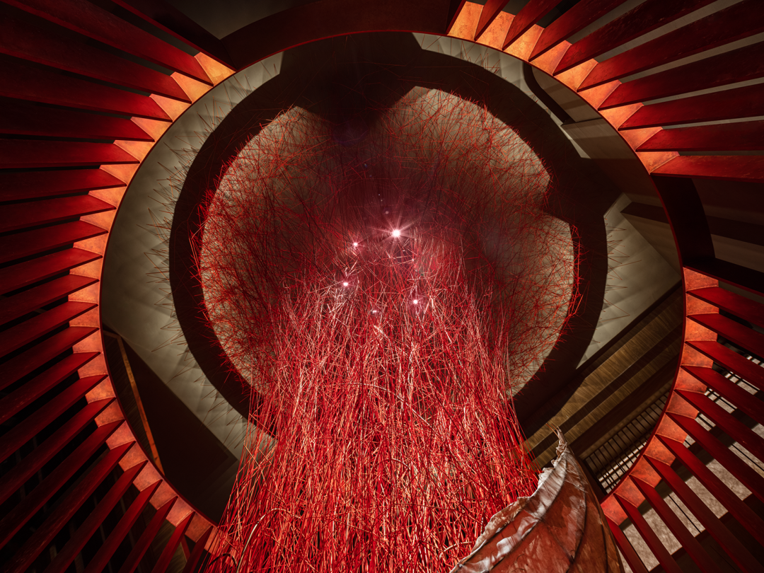 蟹道深圳平安金融中心店丨中国深圳丨道为设计TAOWAYDESIGN-3