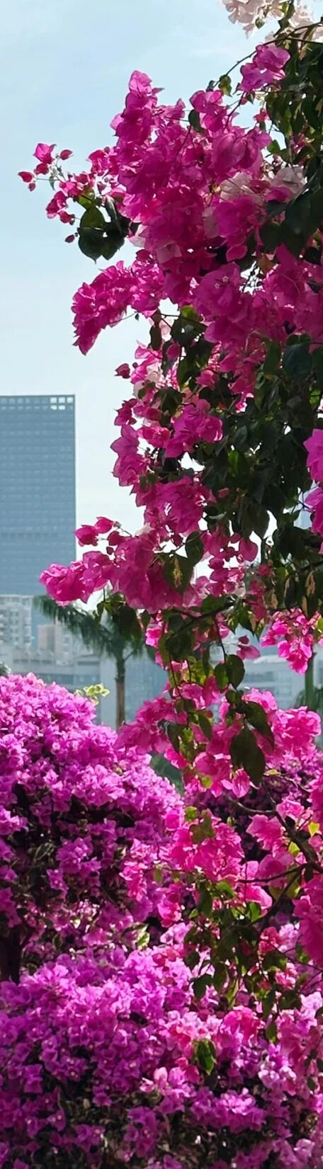 OESD × 深业·上林苑会所丨OE设计团队（欧镱设计）-5