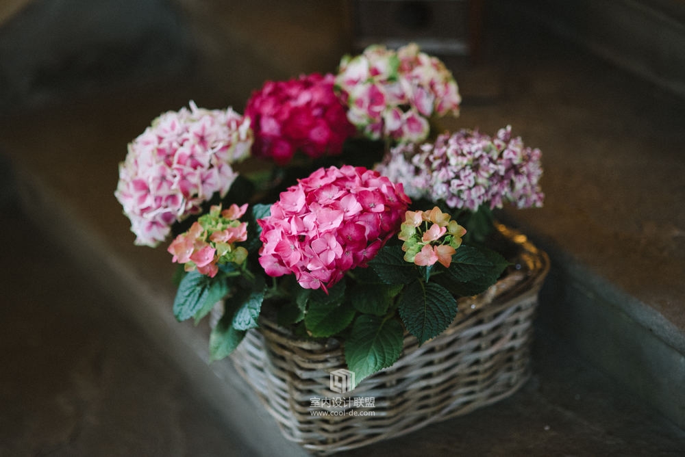 苏格兰爱丁堡庄园酒店-115