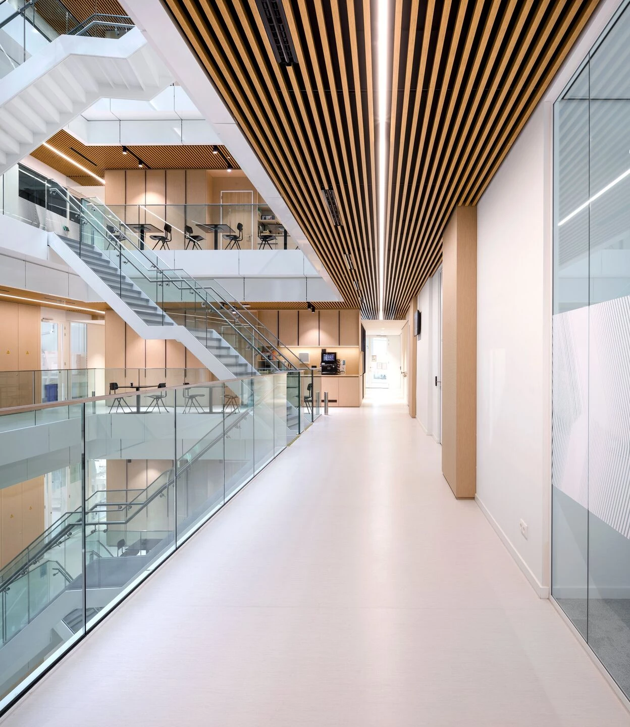 荷兰应用科学研究组织莱顿分部丨荷兰莱顿丨Centrum Architecten-9