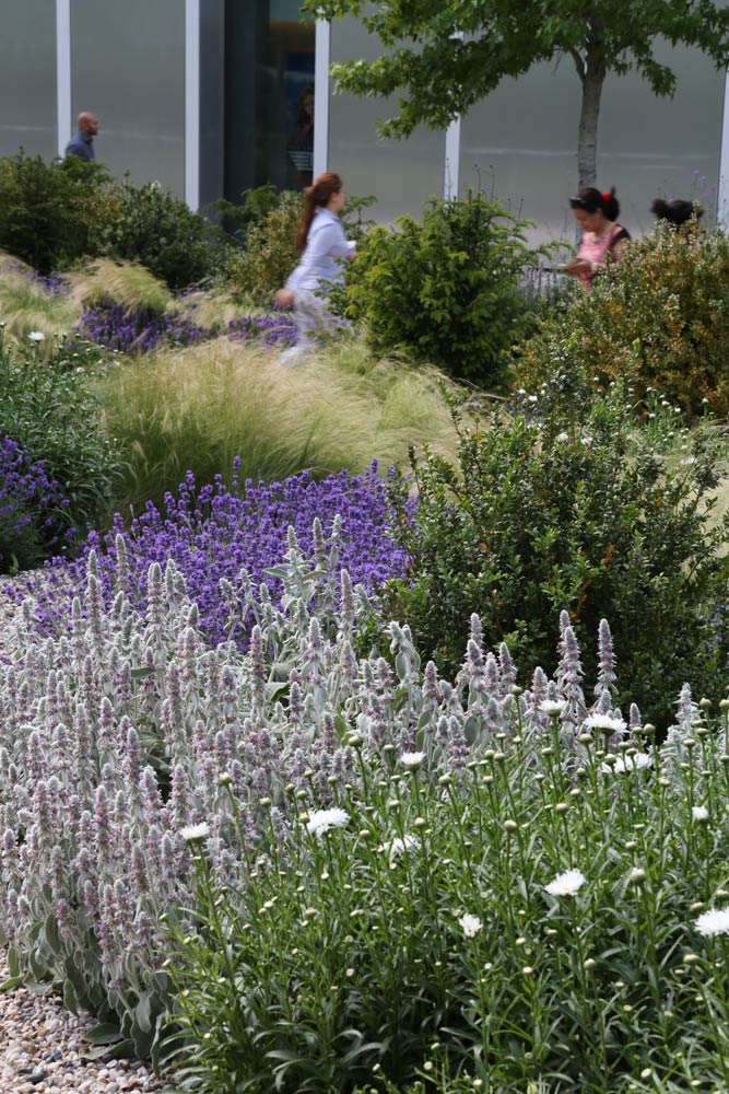 天空英国总部 | 绿色生态的办公环境-31