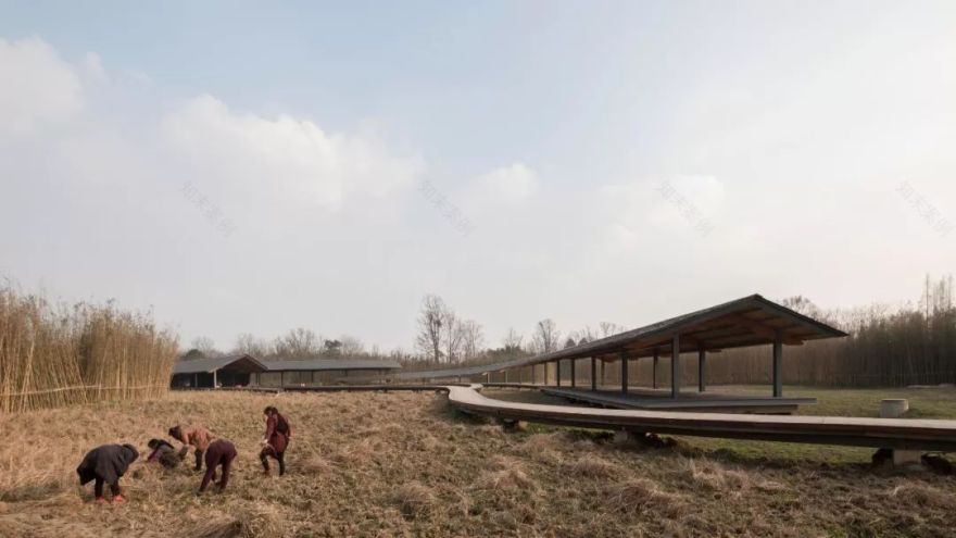 四川临盘乡村文化中心——传统书法与现代建筑的完美融合-27