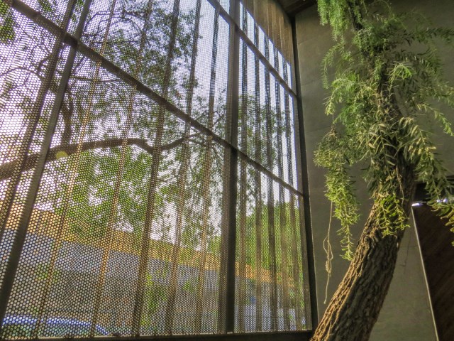 丨印度新德里丨Flyyingseeds studio-23