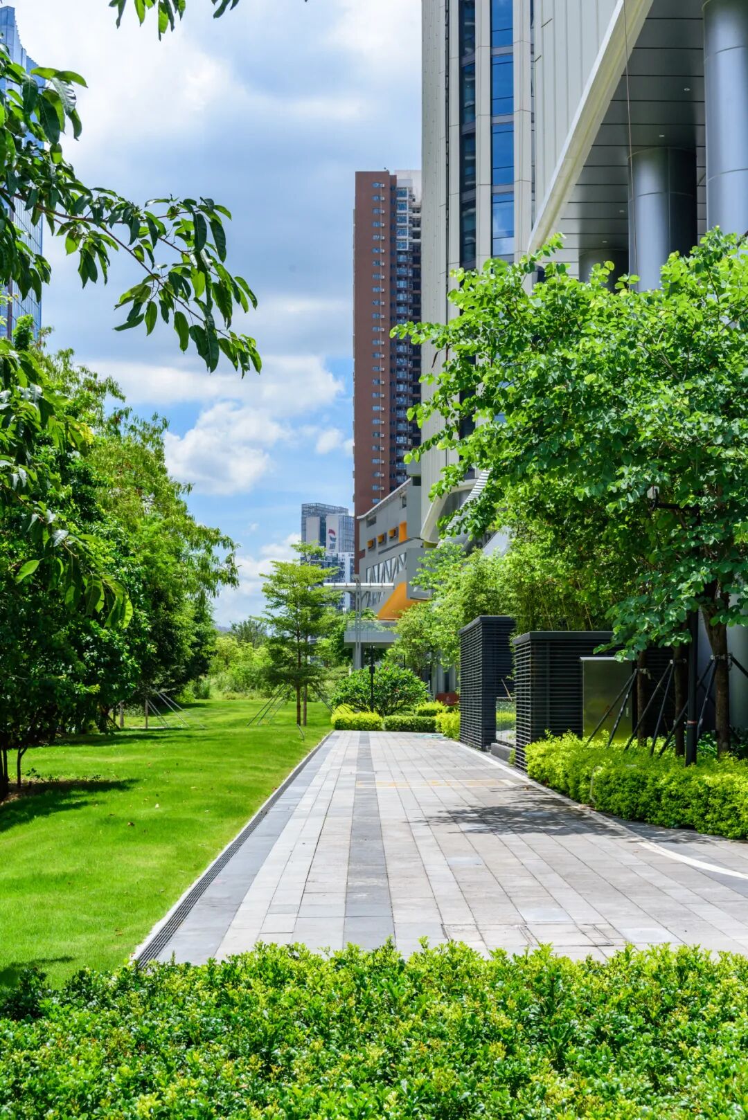 与城市共生，与自然共舞|前海中国国有资本风投大厦-30