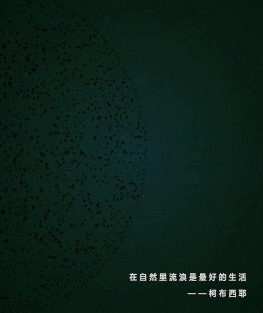 幻象森林,都市绿洲里的自然魅力-2