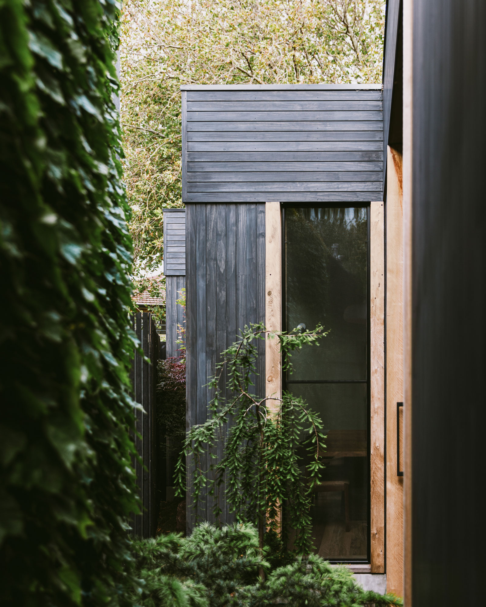 自然的温暖 · 埃尔伍德住宅丨澳大利亚丨B.E Architecture-34