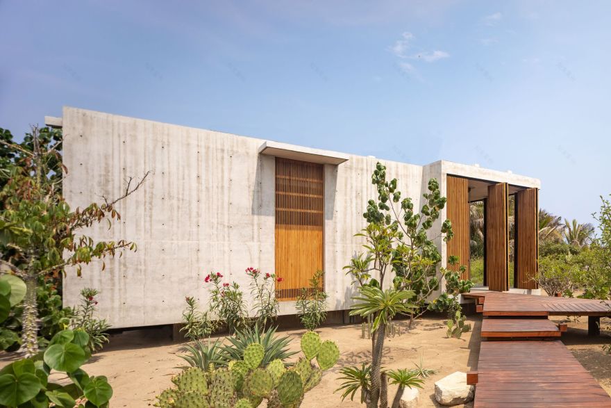 莱里亚之家丨墨西哥瓦哈卡丨TAC Taller Alberto Calleja-8