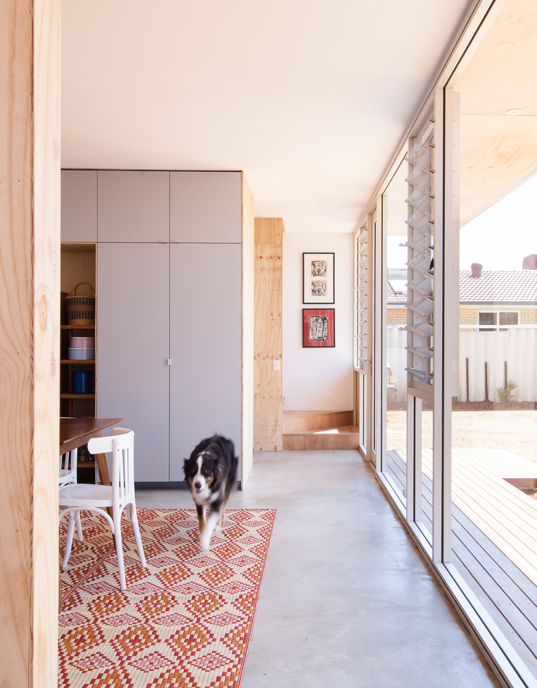 澳大利亚汉密尔顿山可持续住宅设计（Erpingham）-31