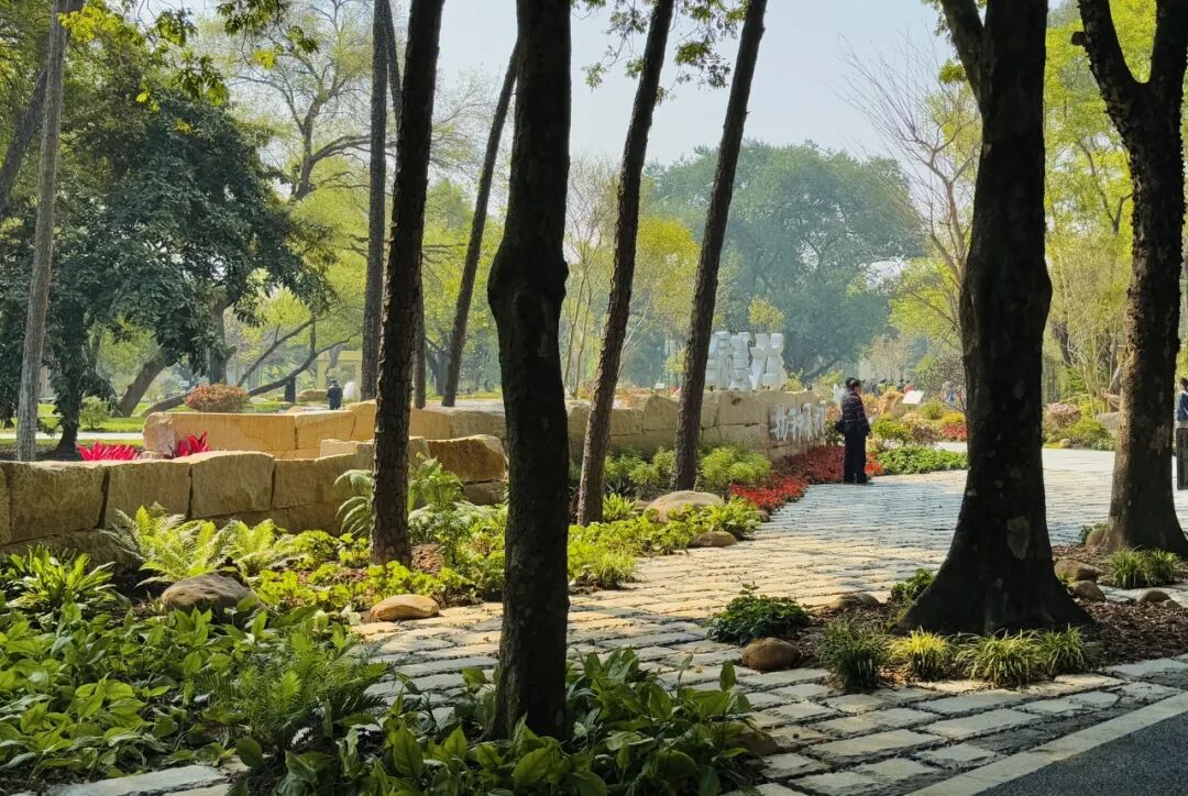 十一赏景别错过！华南国家植物园[绿美广东物种展示园]-48