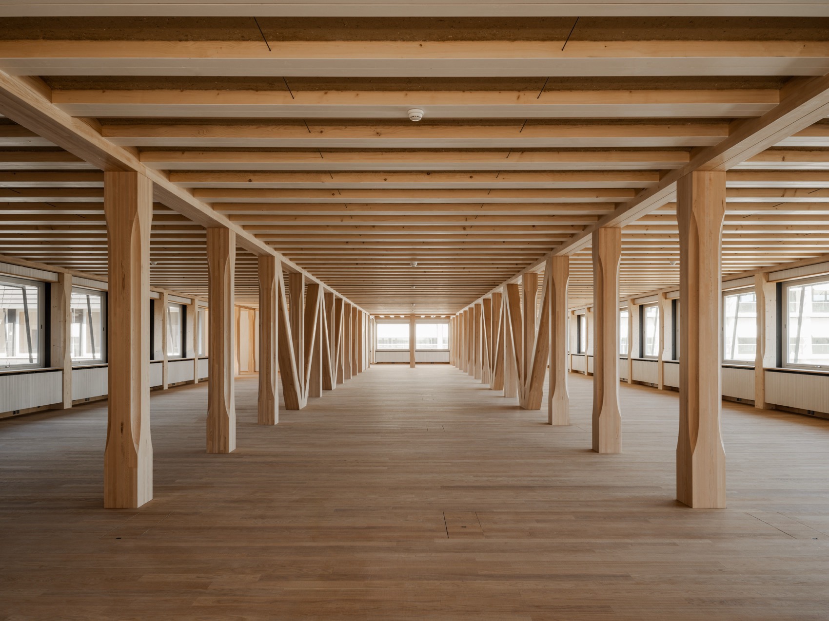 Hortus办公楼丨瑞士丨Herzog & de Meuron-74