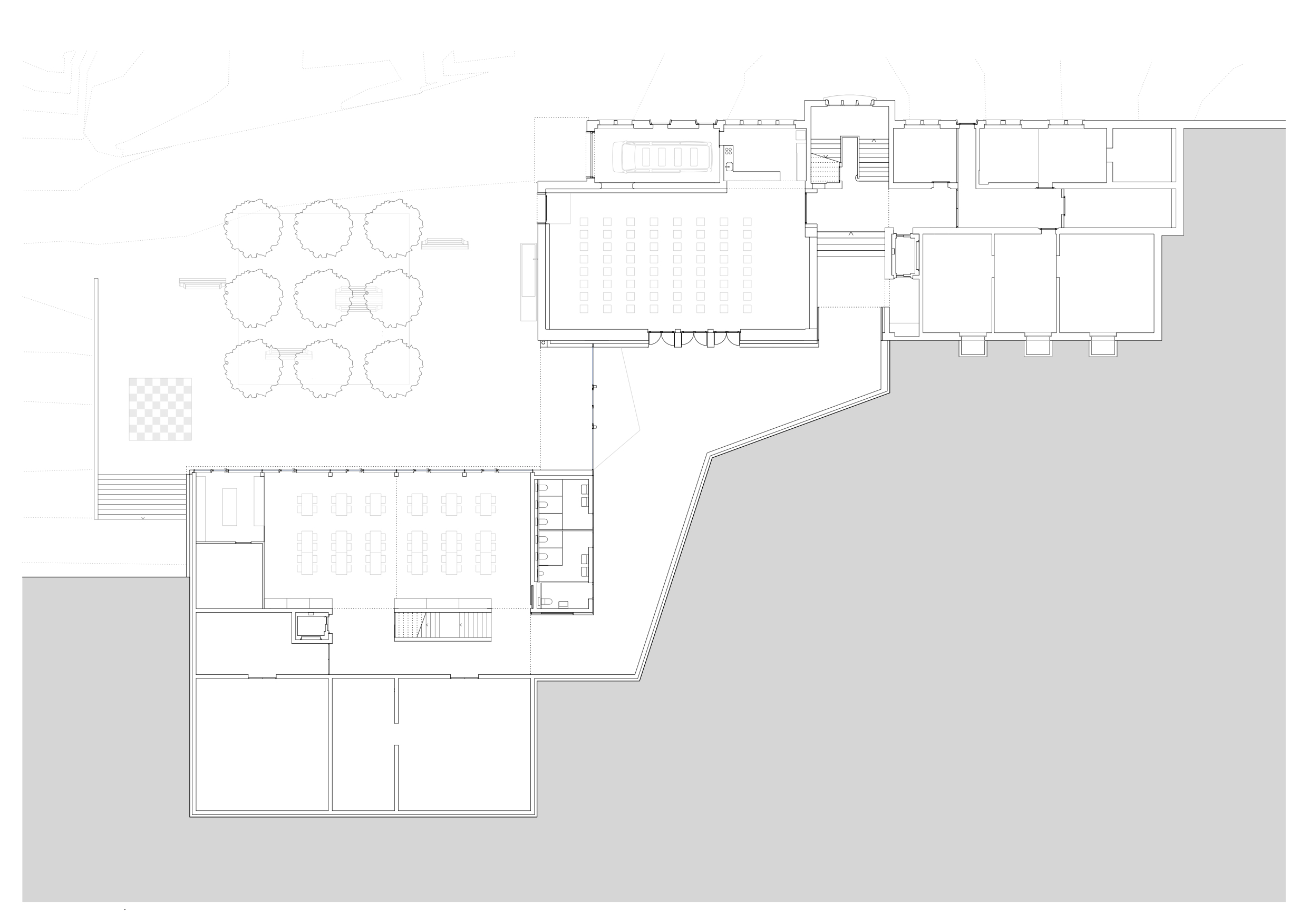 里德斯学校-26