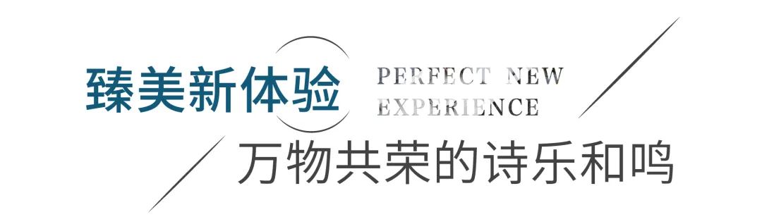 绿都ONLINE | 新奢“云”系首进新乡，如何唤醒人居本真？-39