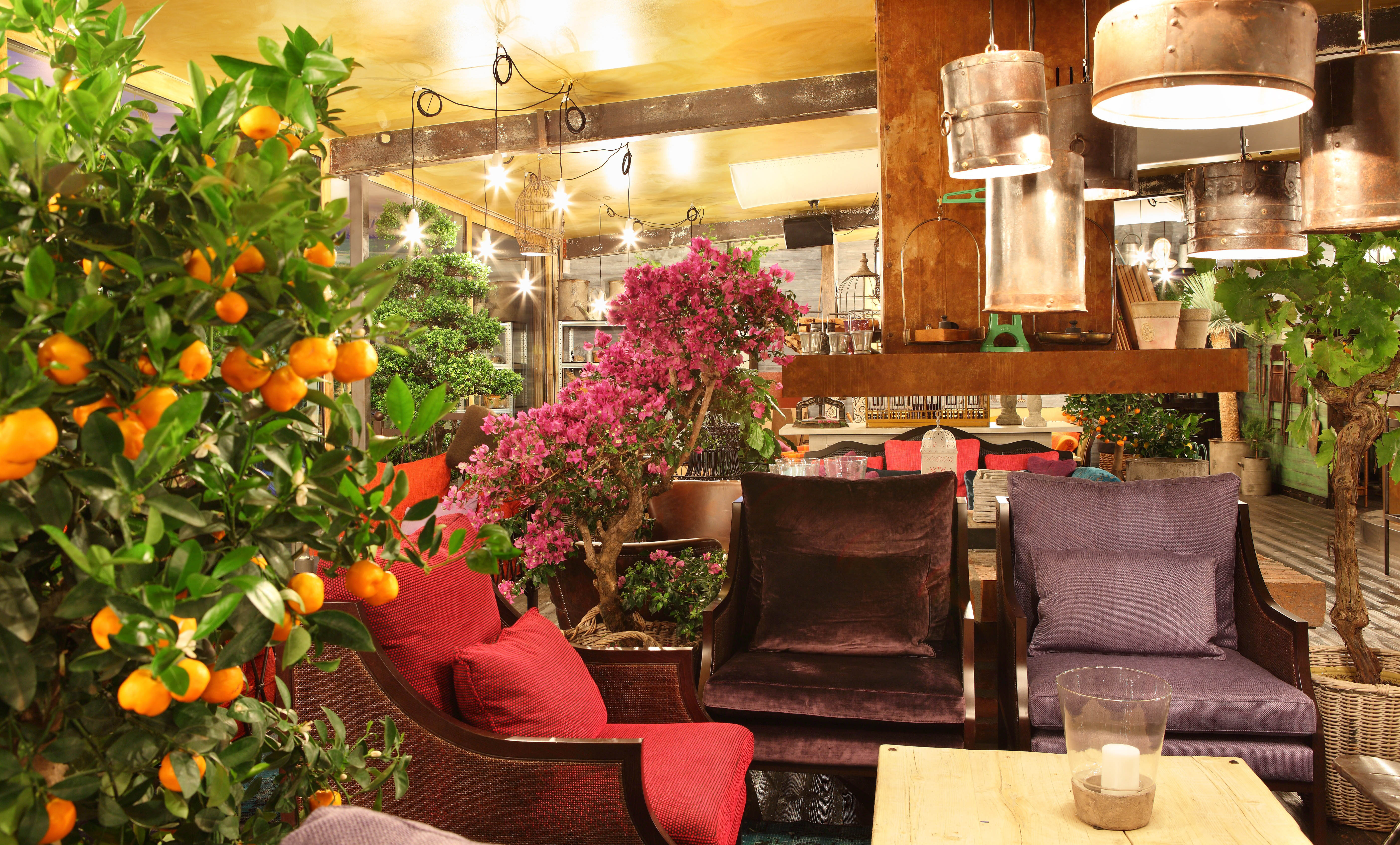 Orangeriet | Stylt Trampoli AB-12