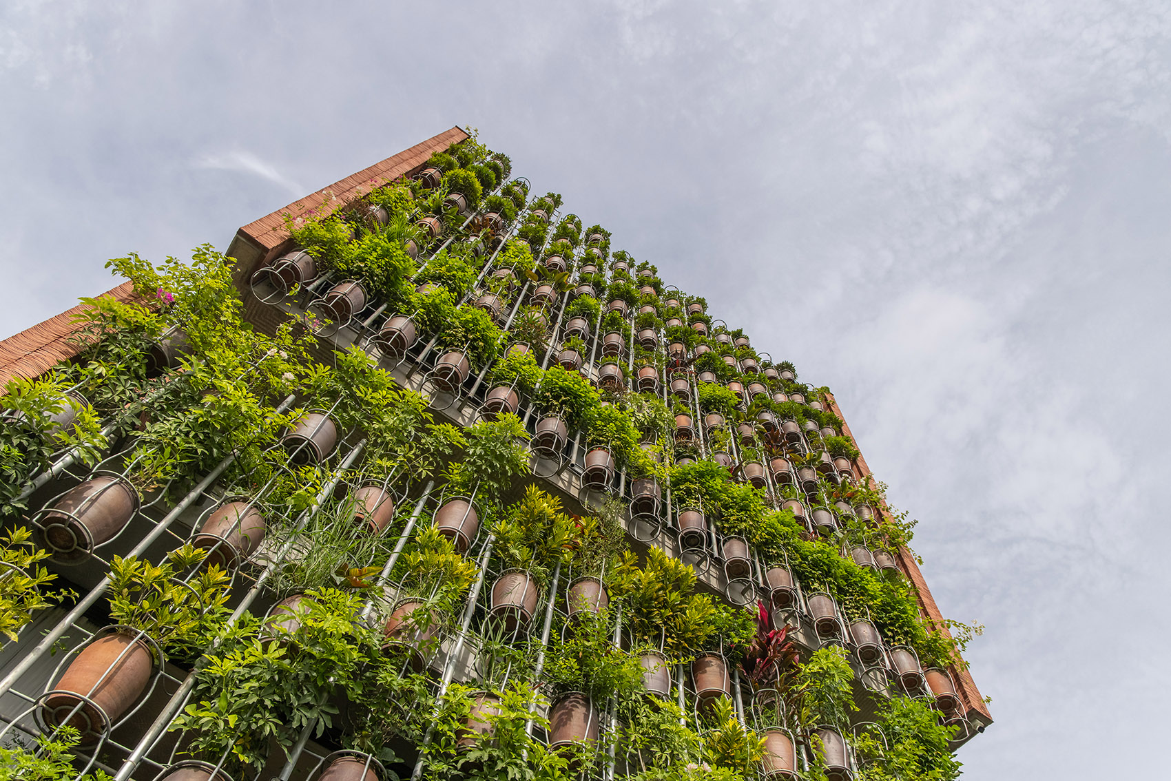 空中种植园丨越南丨H&P Architects-19