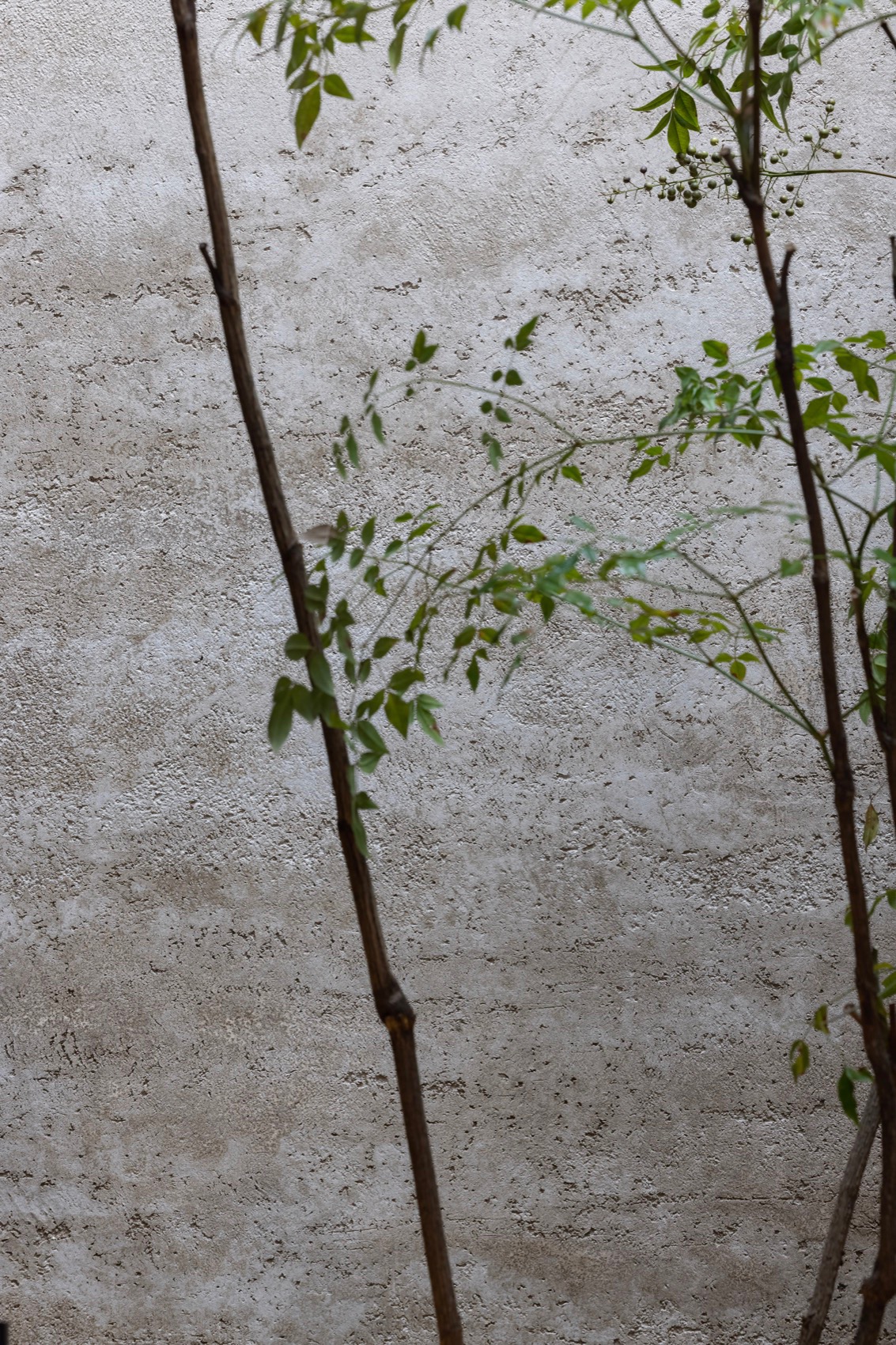 周家二小姐的菜丨中国无锡丨无锡欧阳跳建筑设计有限公司-45