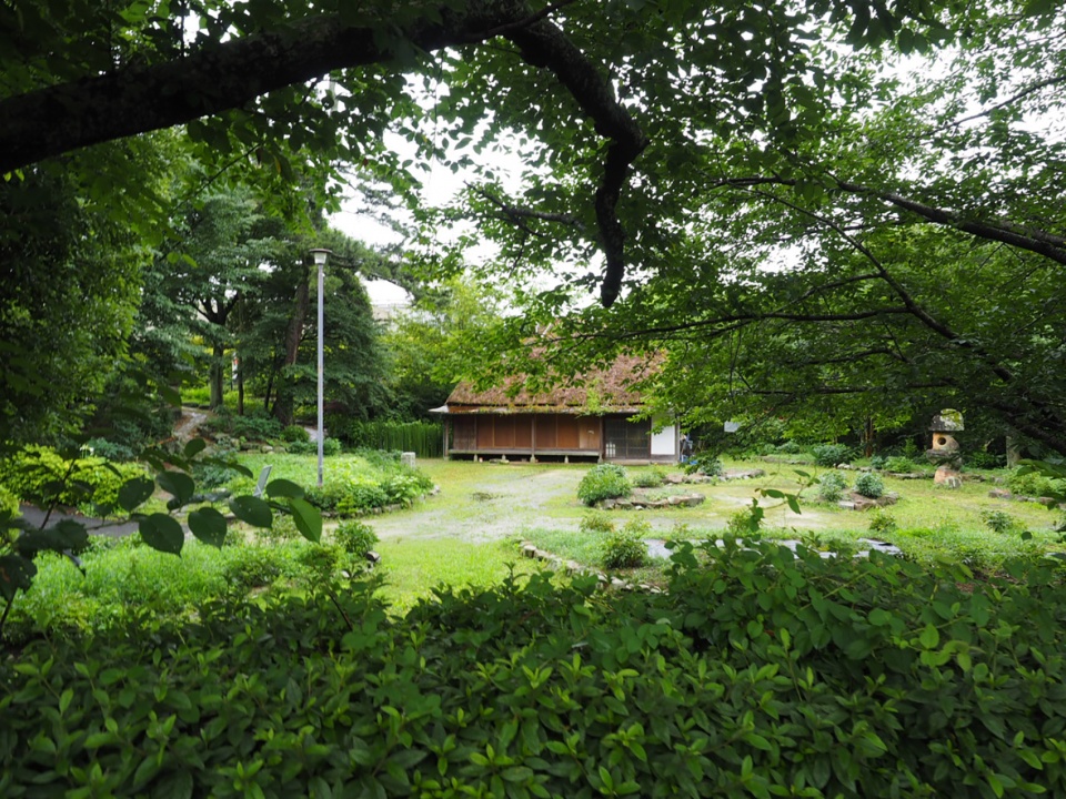 常盤公园牡丹苑翻新设计丨日本丨株式会社户田芳树风景计画-7