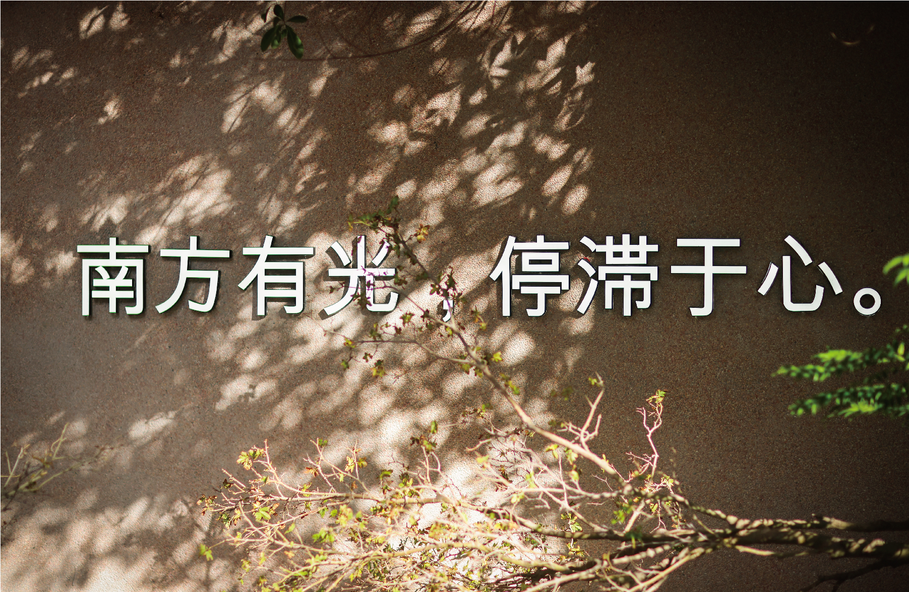 滞光所•南丨中国泉州-34