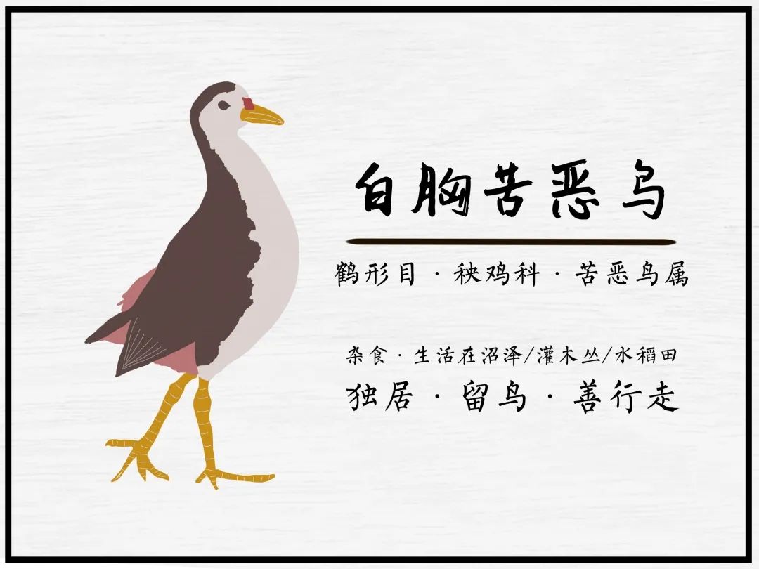 广汽丰田生态园·工业绿色风景线丨普邦设计-90