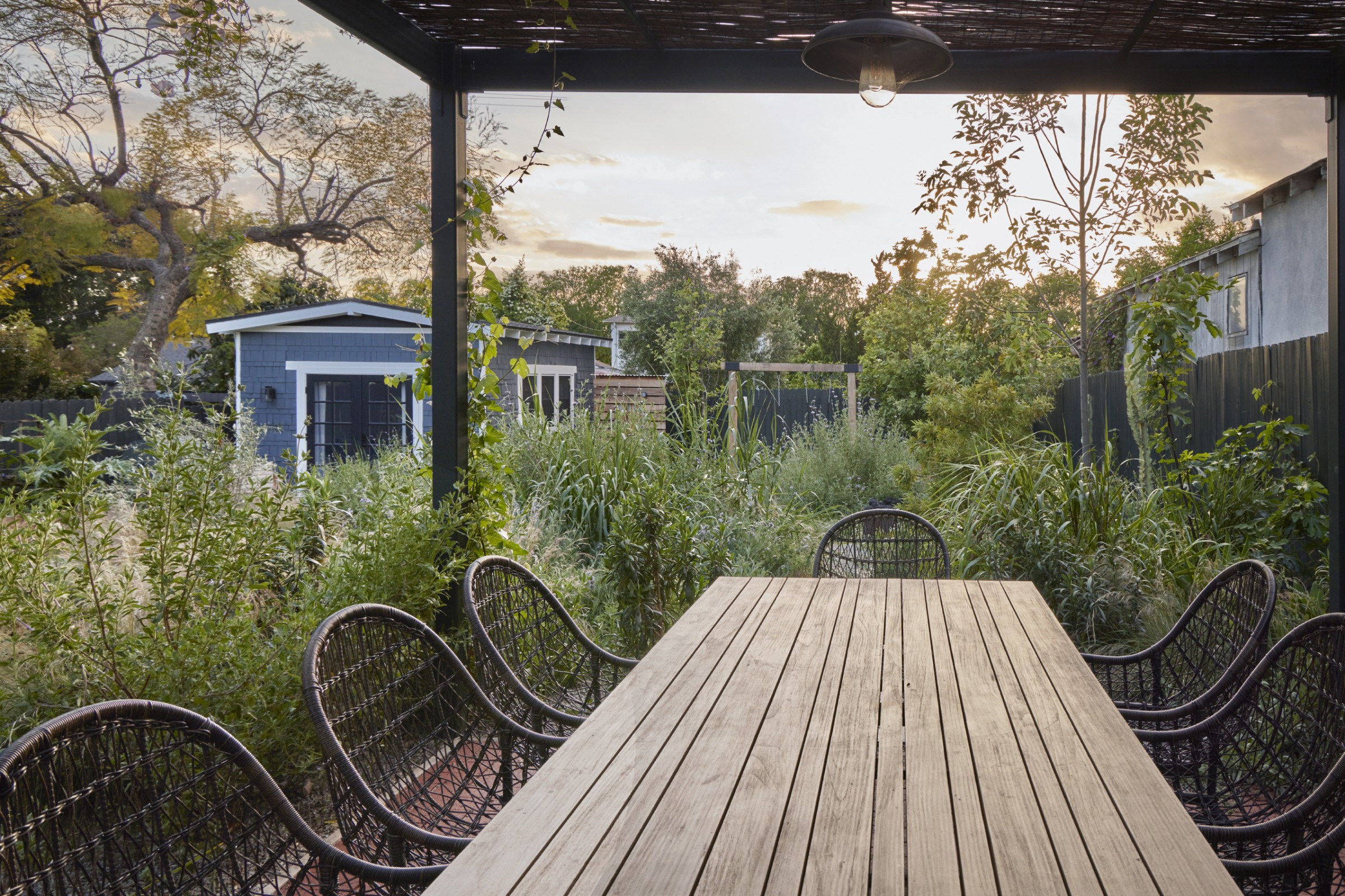 用时间酝酿，为孩子们创造的野趣花园丨美国丨TERREMOTO-20