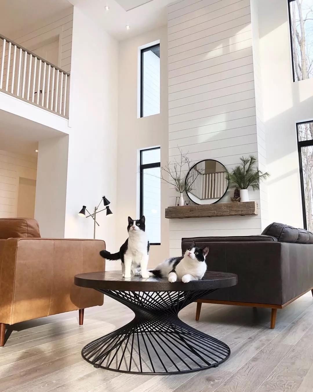 新年准备入驻新主子了？给你复制一份贴心方法-1