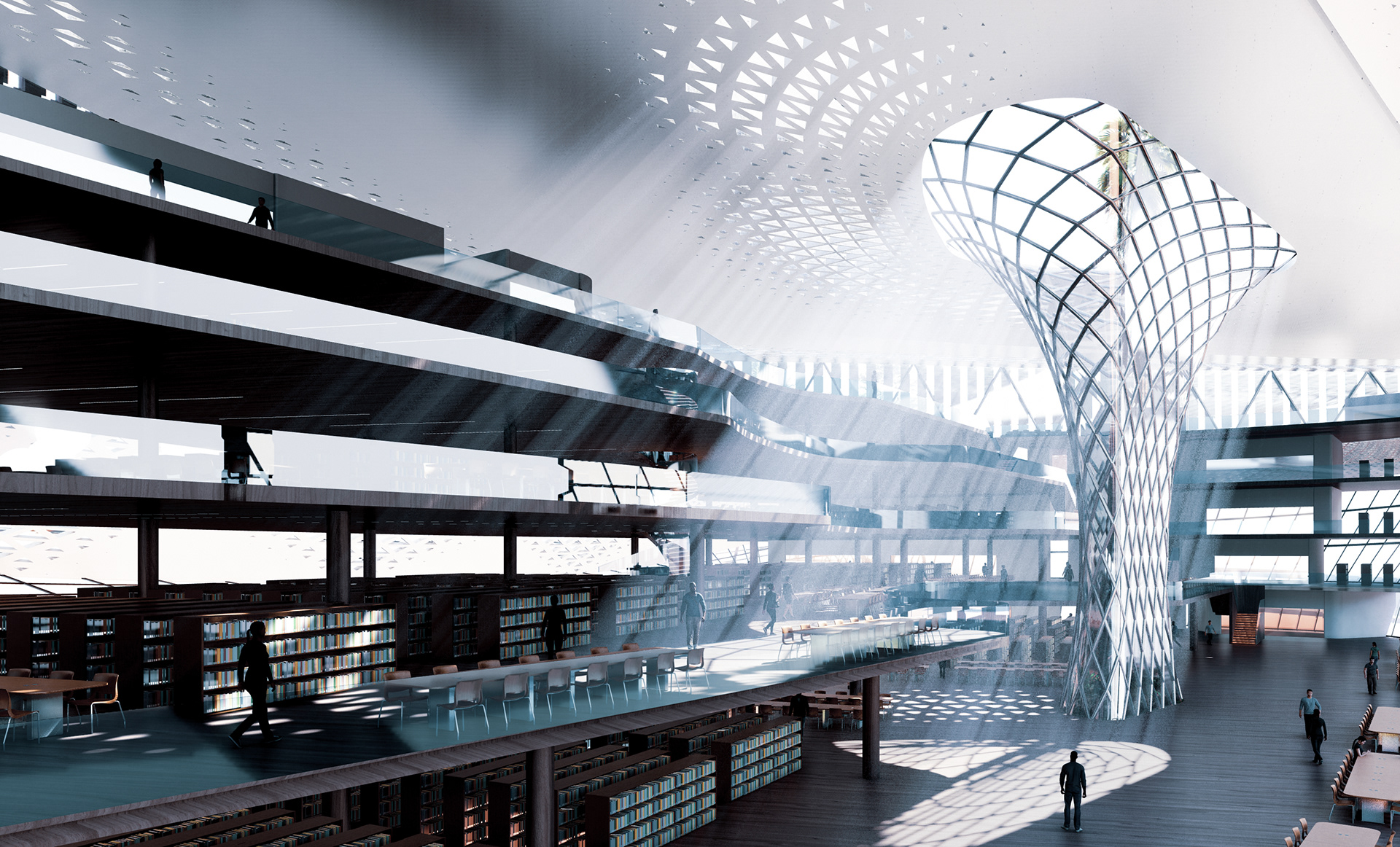 非洲区丨ASUFEDA-22