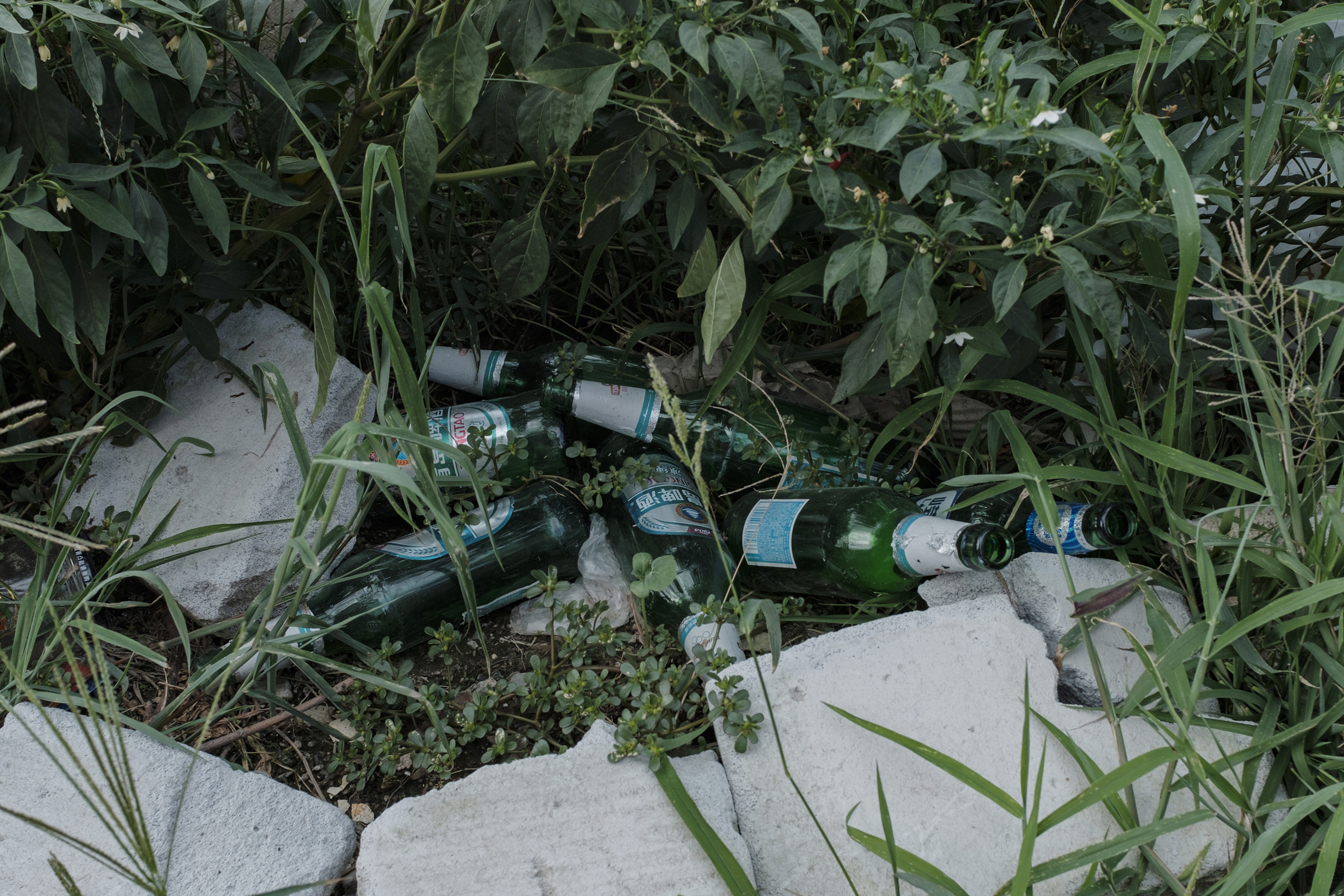 隔壁的村子要消失了-3