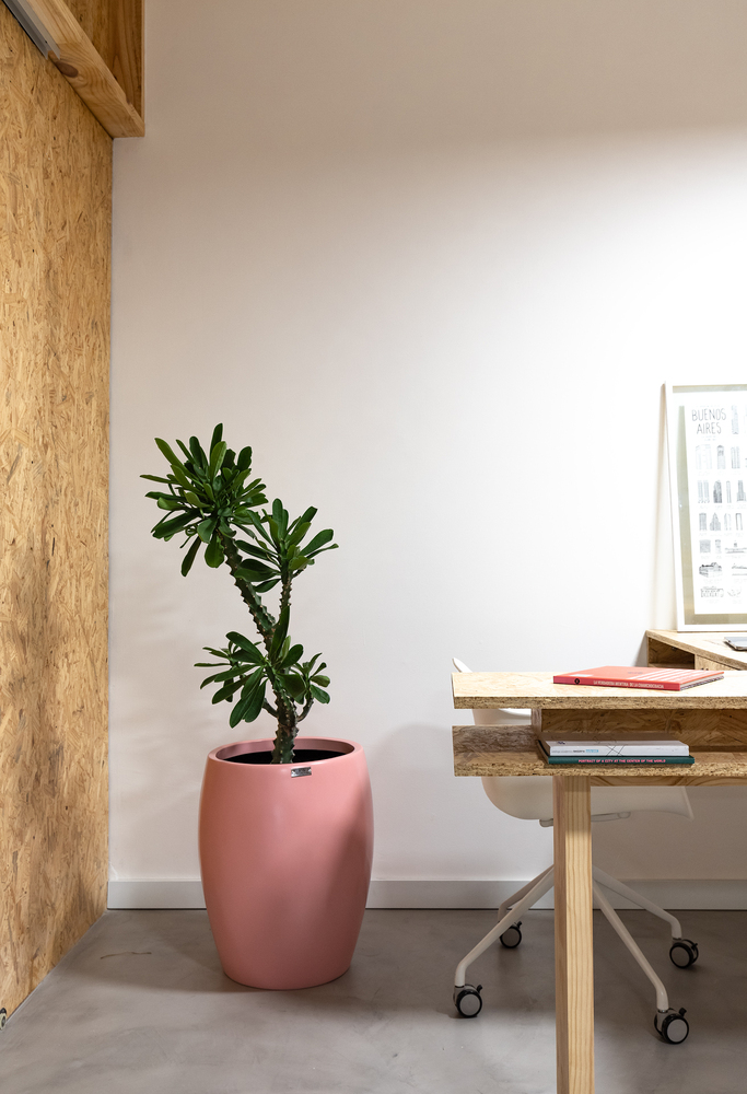 定向纤维办公室-47