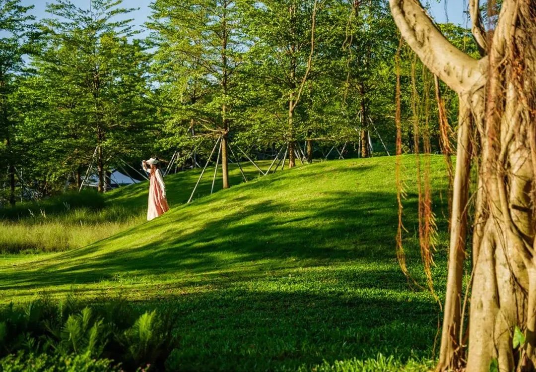 摩天都市中的绿色脉搏 | 深圳笔架山体育公园-122