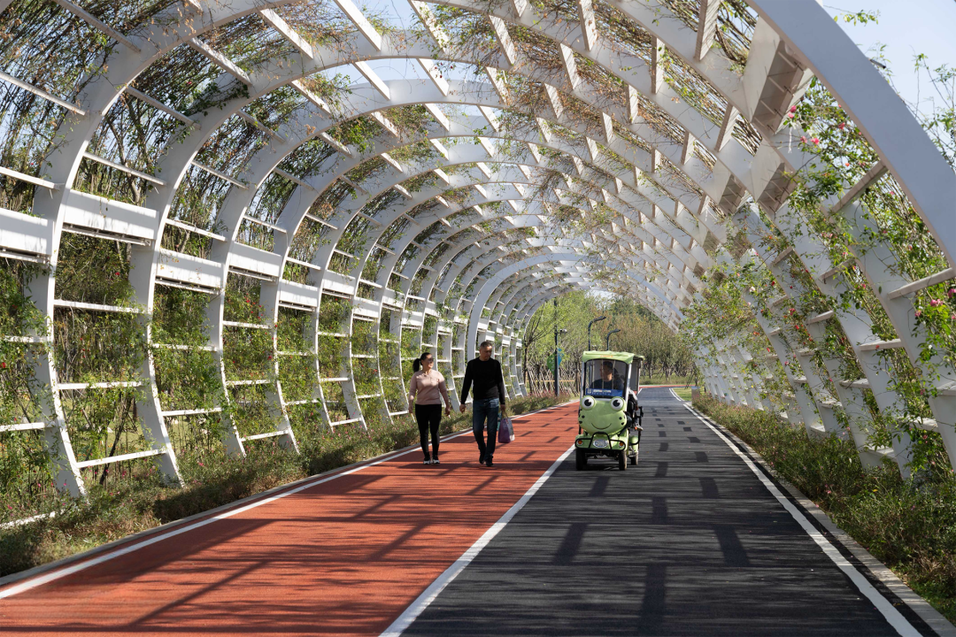 合肥骆岗公园景观设计丨中国合肥丨泛亚景观设计（上海）有限公司-57