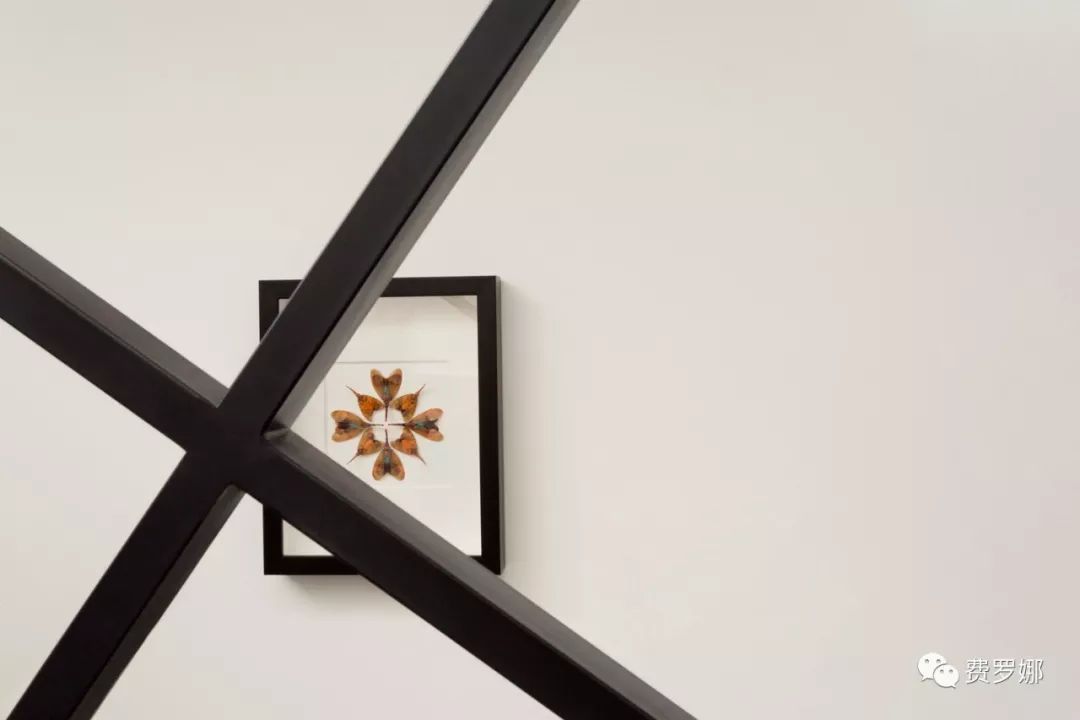 把白云设计进家里：Cloud House-23