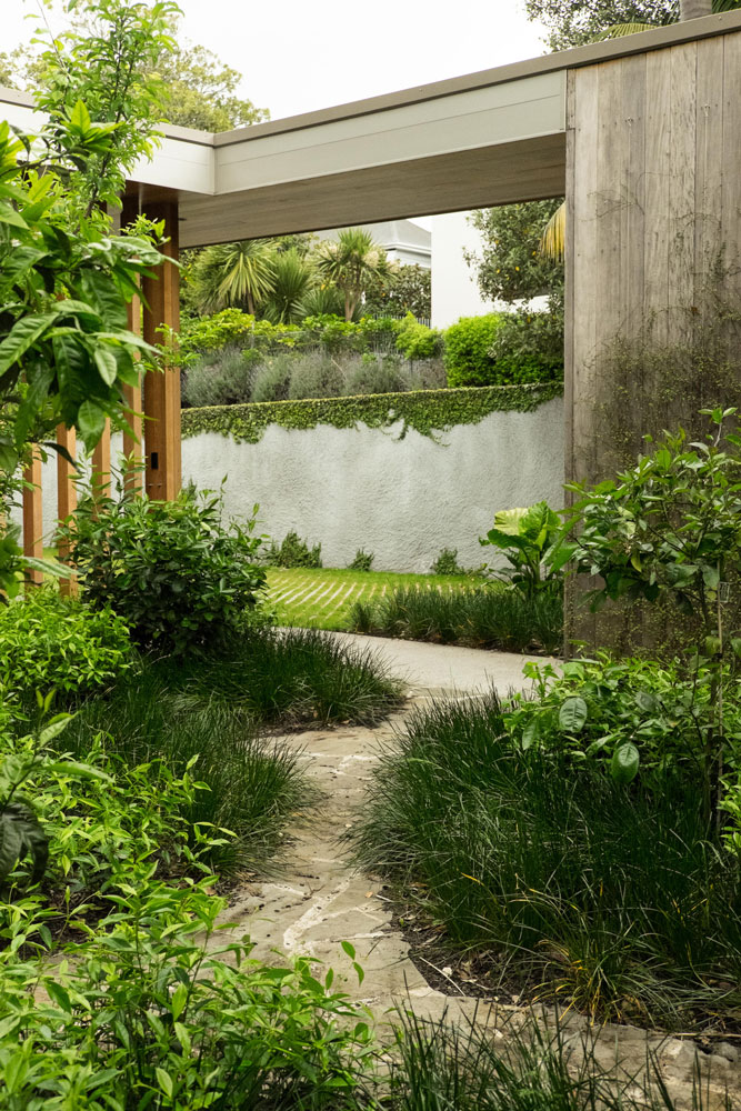 Argyle House 的有机庭院景观-30
