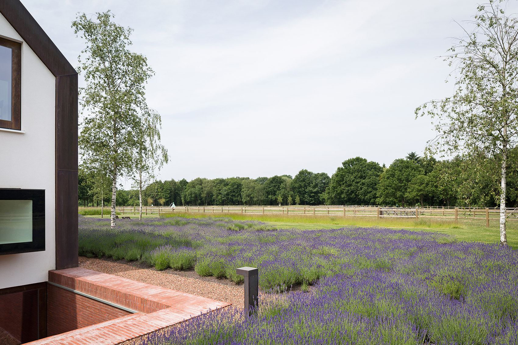 Olmen住宅，比利时 / Pascal François Architects-66