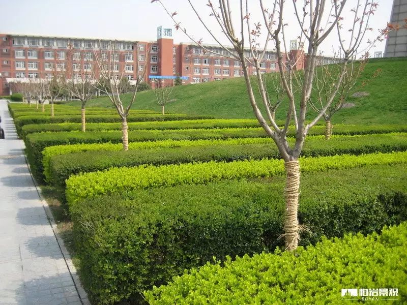 【柏岩·锦绣】西安欧亚学院-10