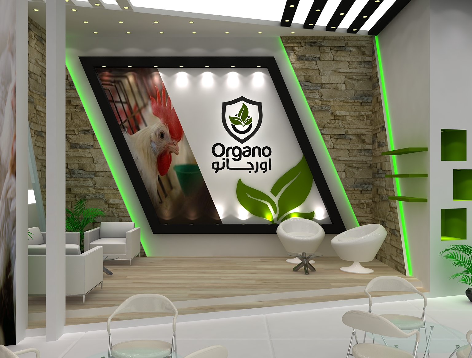 ORGANO SAHARA 2016-6