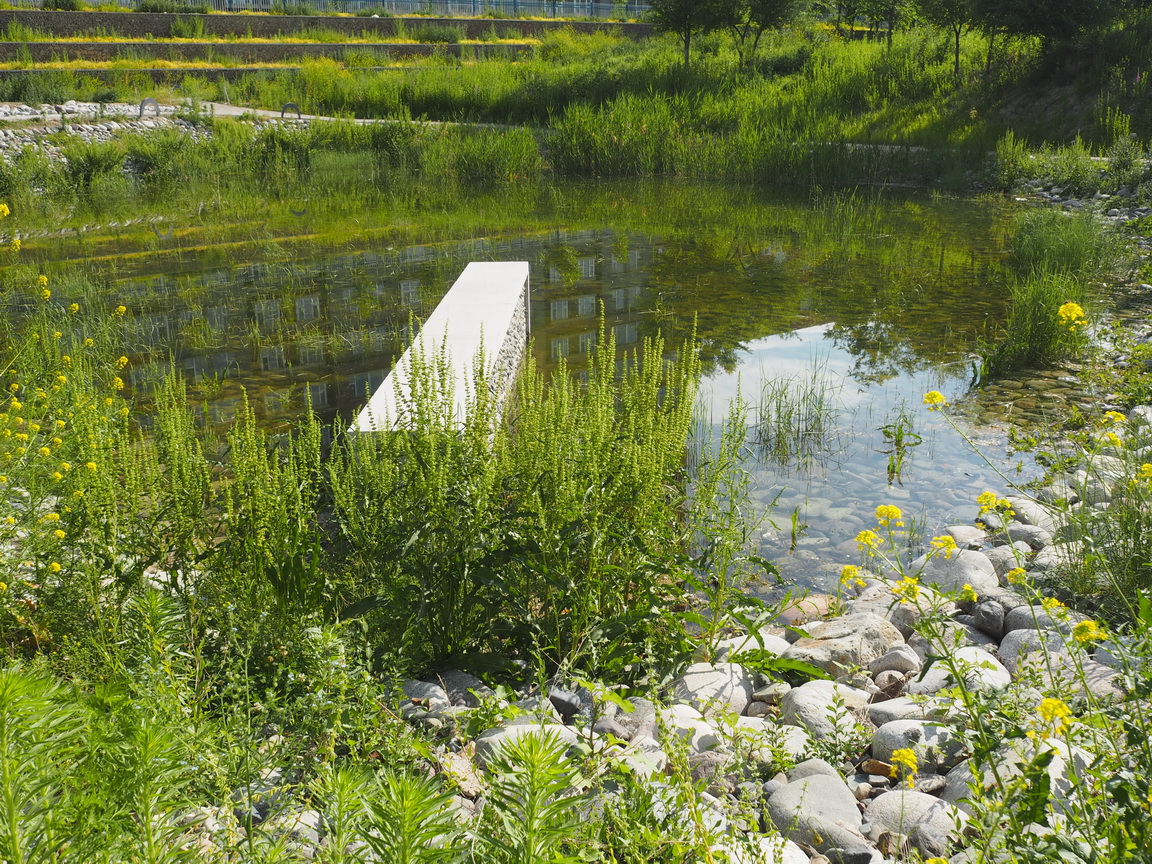 新疆博乐人民公园改造设计（A地块）丨中国新疆丨R  land北京源树景观规划设计事所-88