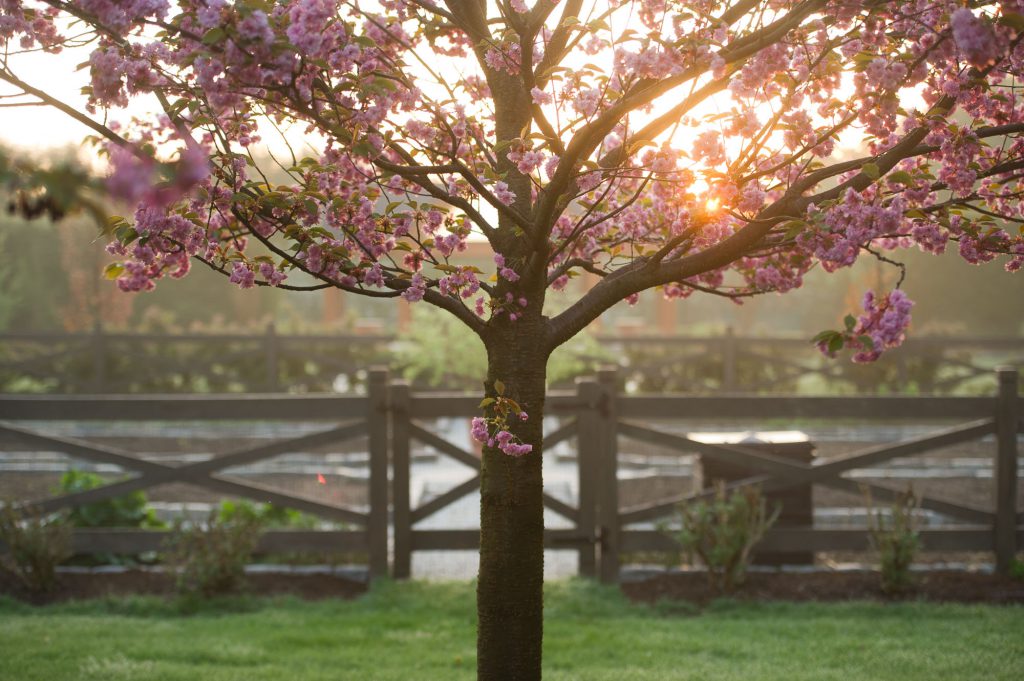 丨Janice Parker Landscape Architects-12