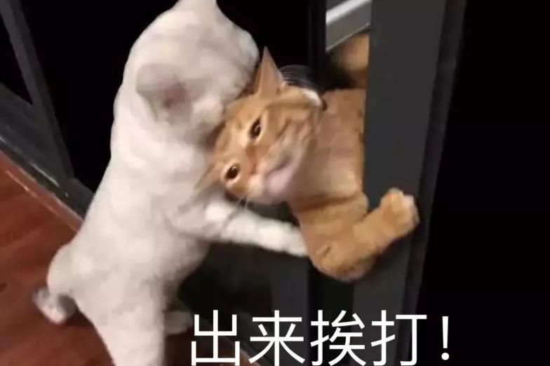 设计师的终极挑战-109