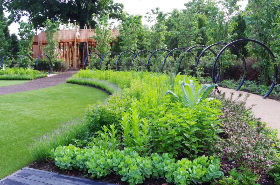 英国皇家植物园儿童花园丨Suzie Jewell-85