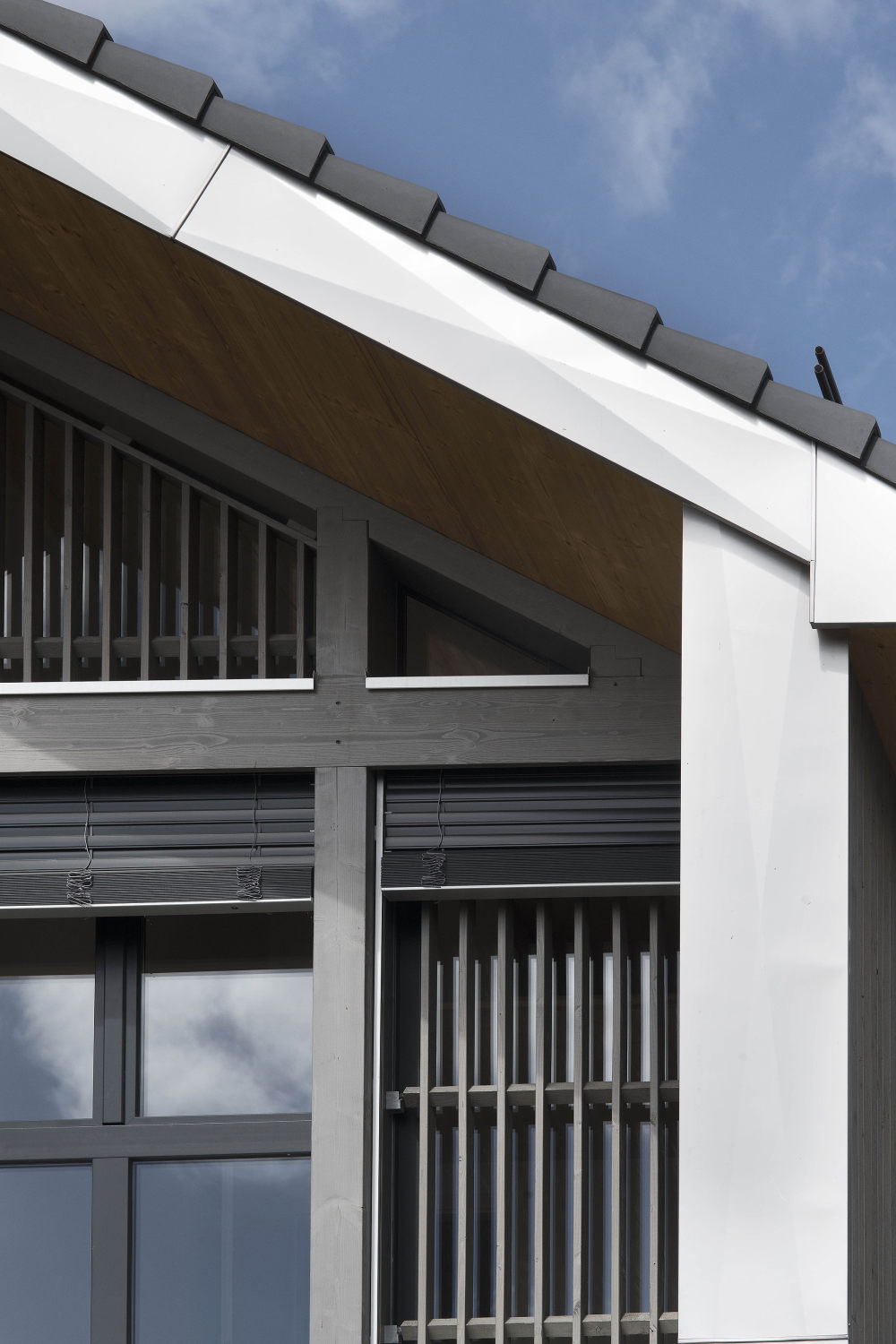 日内瓦湖畔 Arzier 村 8.5 独立住宅-7