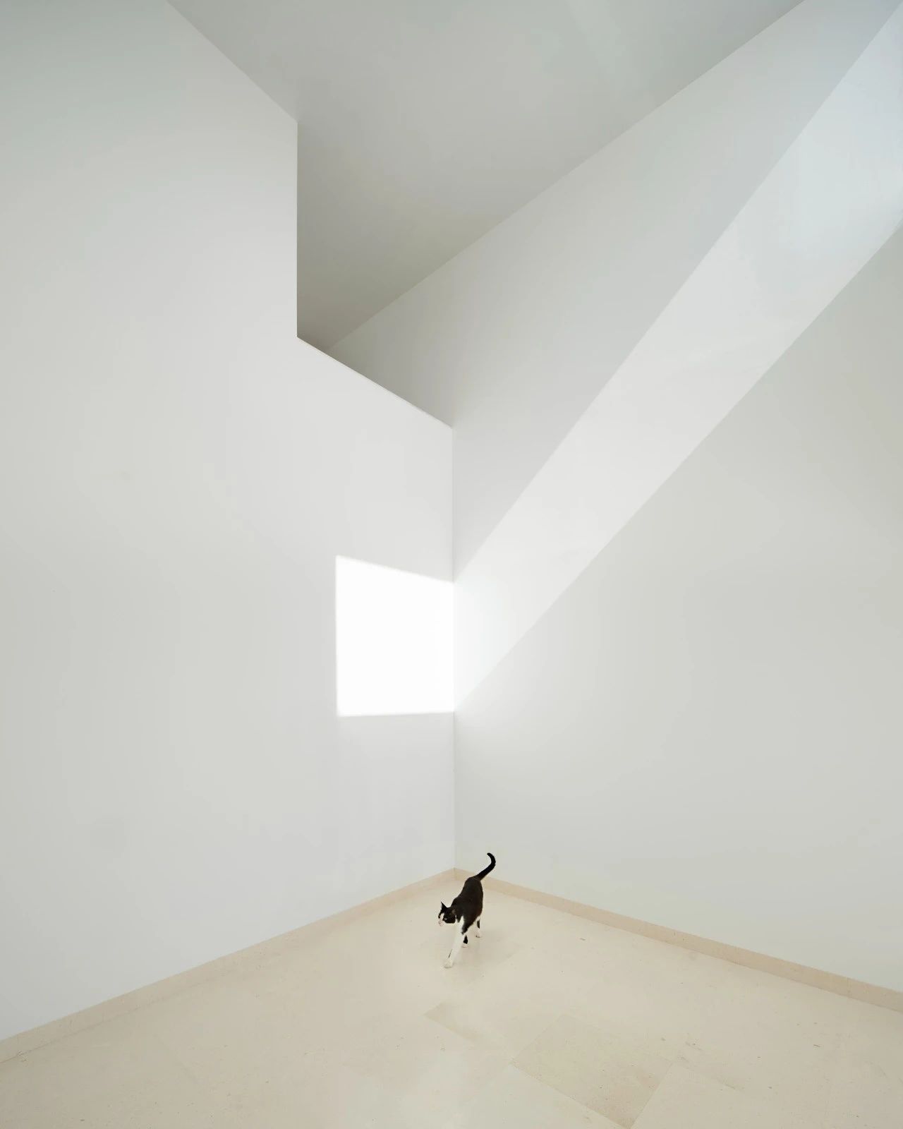 罗伯特·奥尔尼克馆丨美国纽约丨Alberto Campo Baeza-85